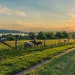 Landgasthof Linde - Restaurant Beliebt Bei Einheimischen Penzion 3*