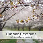 Landgasthof Linde - Restaurant Beliebt Bei Einheimischen Penzion Deggenhausertal