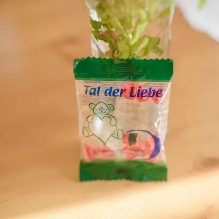 Landgasthof Linde - In Ruhiger, Laendlicher Umgebung イン