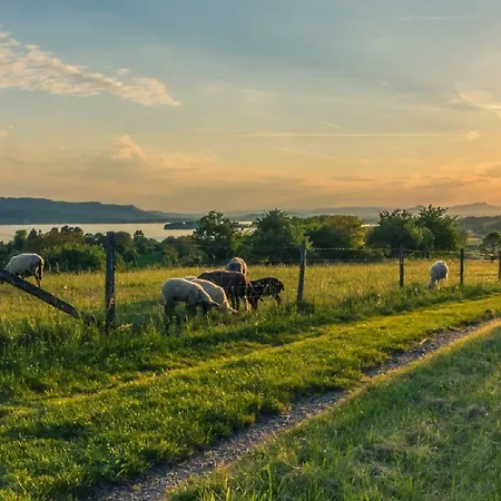 Landgasthof Linde - In Ruhiger, Laendlicher Umgebung Herberg 3*