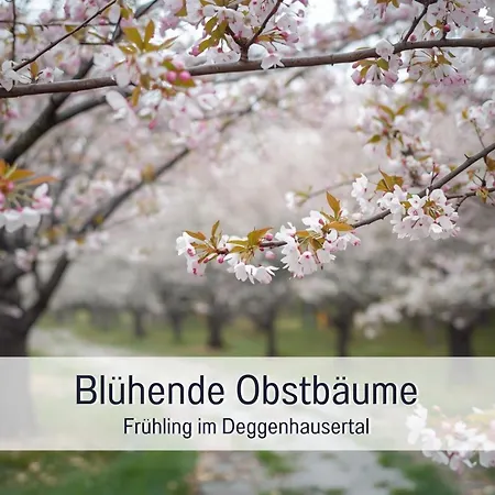 Landgasthof Linde - In Ruhiger, Laendlicher Umgebung イン デッゲンハウザータール