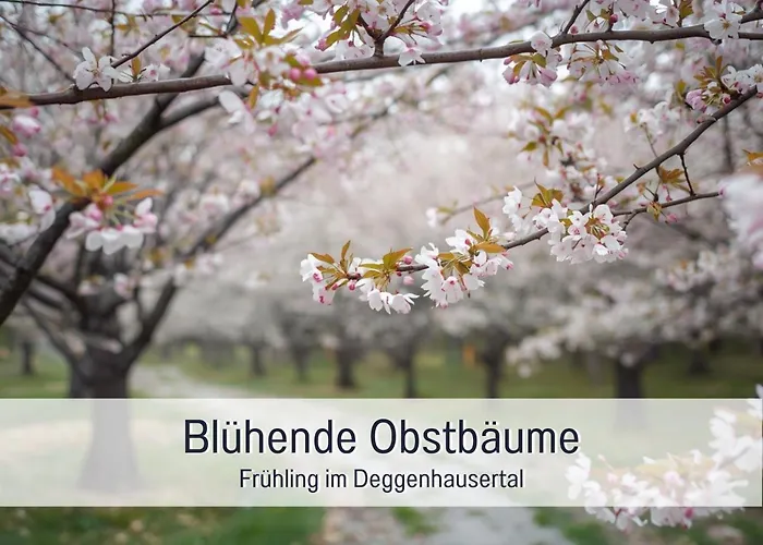 Landgasthof Linde - Direkt Am Premiumwanderweg Herberg Deggenhausertal